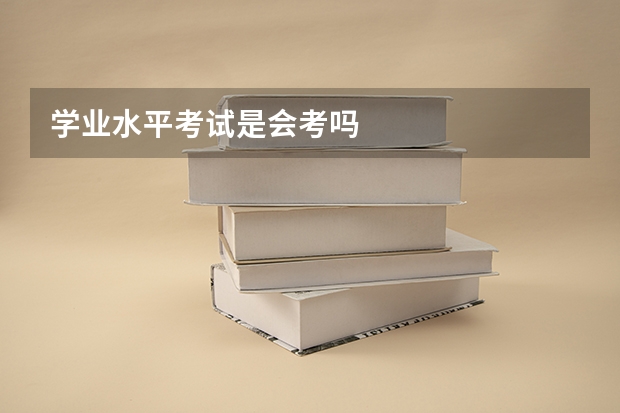 学业水平考试是会考吗