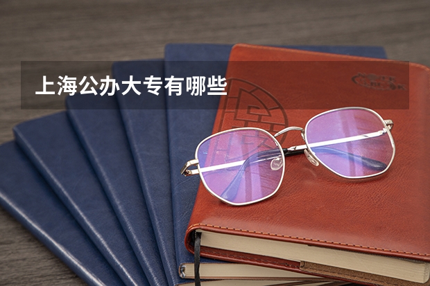 上海公办大专有哪些