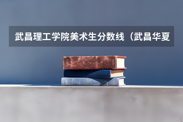 武昌理工学院美术生分数线（武昌华夏理工学院分数线）