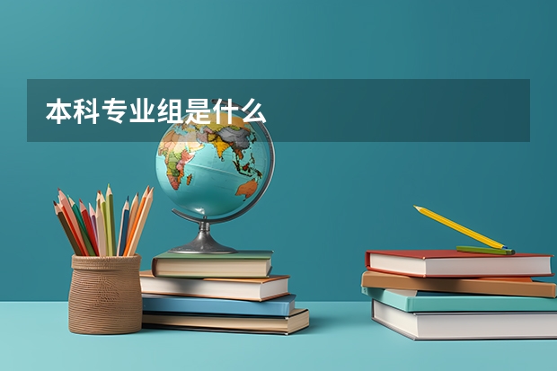 本科专业组是什么