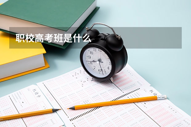 职校高考班是什么