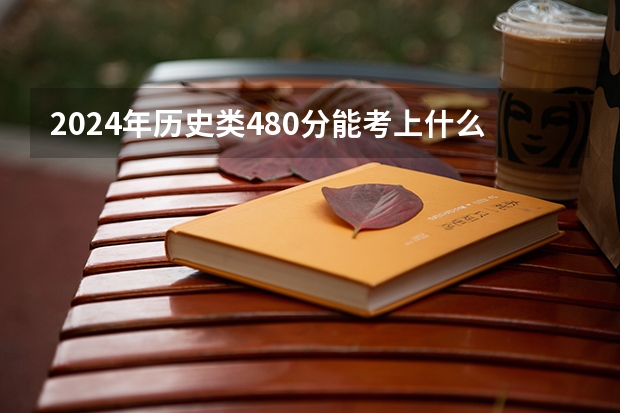 2024年历史类480分能考上什么大学？