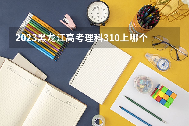 2023黑龙江高考理科310上哪个大学合适