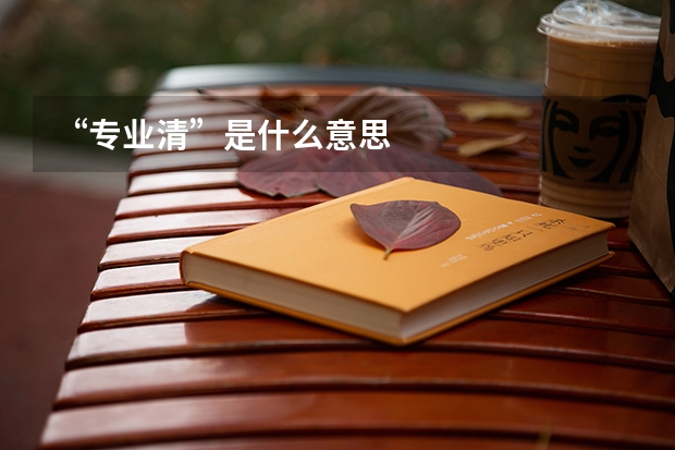 “专业清”是什么意思