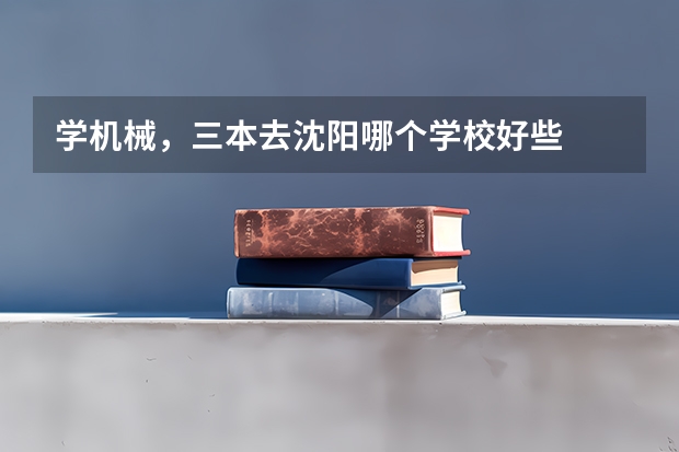 学机械，三本去沈阳哪个学校好些