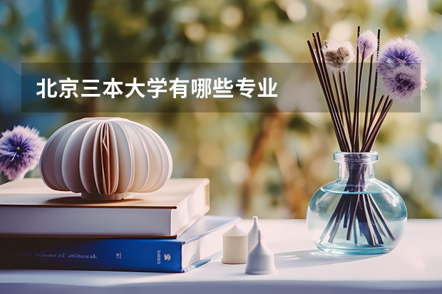 北京三本大学有哪些专业