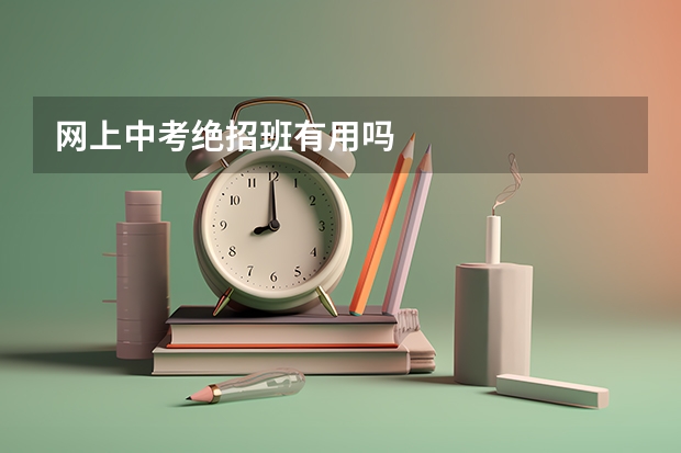 网上中考绝招班有用吗