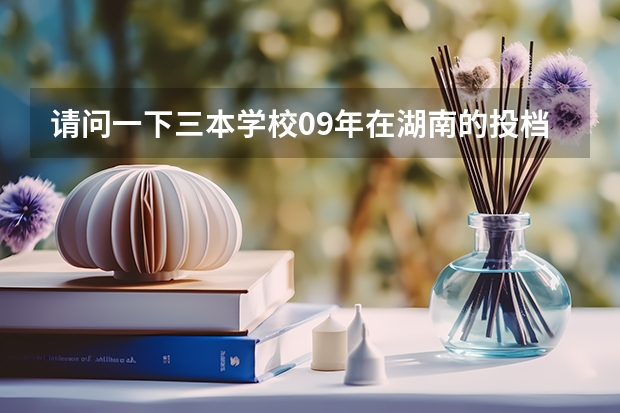 请问一下三本学校09年在湖南的投档线 只要投档分数线！急求 襄樊有私立高中学校录取分数线