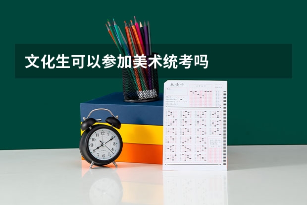 文化生可以参加美术统考吗