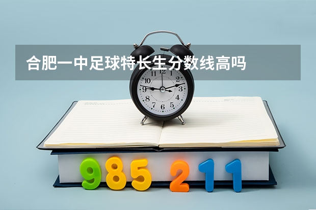 合肥一中足球特长生分数线高吗