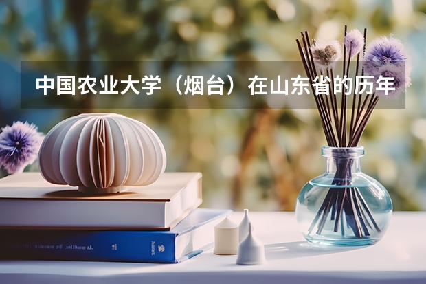 中国农业大学（烟台）在山东省的历年录取分数线（烟台幼儿师范高等专科学校录取分数线）