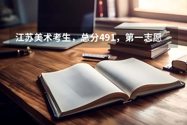 江苏美术考生，总分491，第一志愿金陵科技学院，能上的可能性大吗？