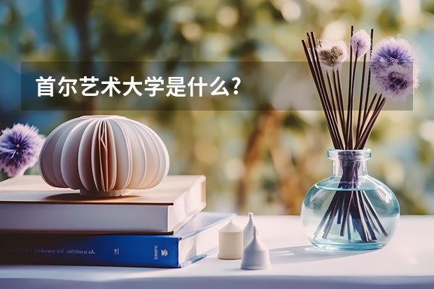 首尔艺术大学是什么?