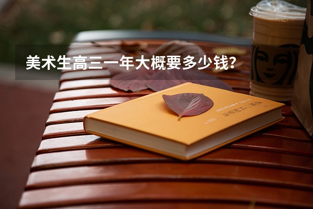 美术生高三一年大概要多少钱？