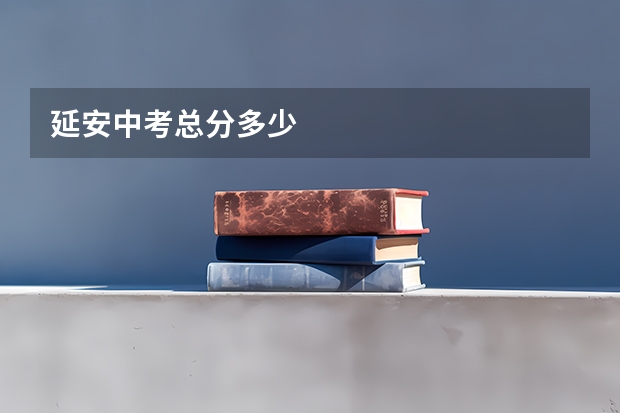 延安中考总分多少