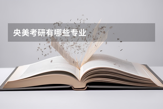 央美考研有哪些专业
