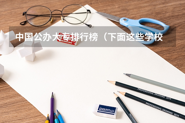 中国公办大专排行榜(下面这些学校 帮我选择一个)