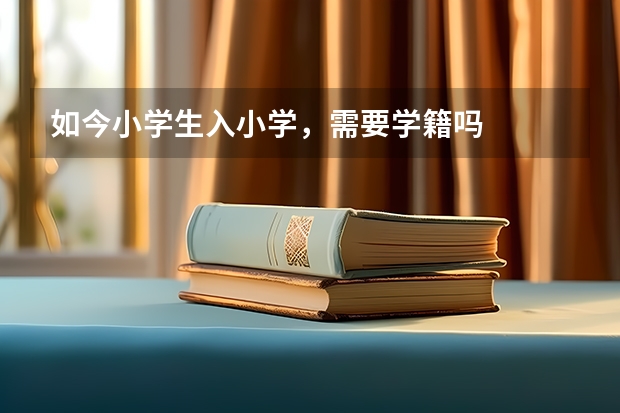 如今小学生入小学，需要学籍吗