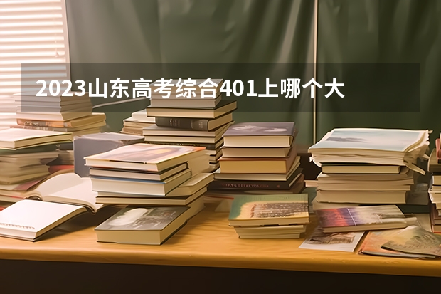 2023山东高考综合401上哪个大学合适