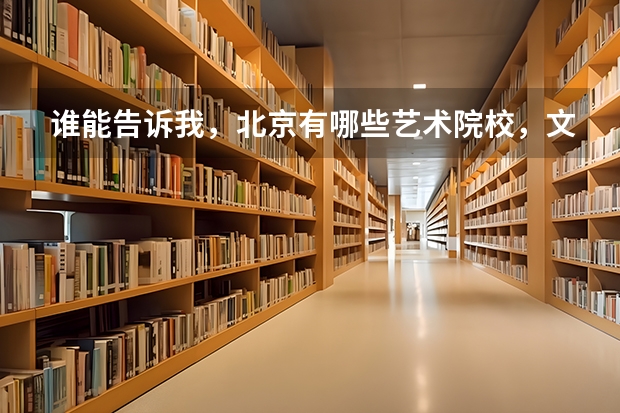 谁能告诉我，北京有哪些艺术院校，文化分数线较低的学校