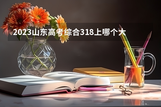 2023山东高考综合318上哪个大学合适