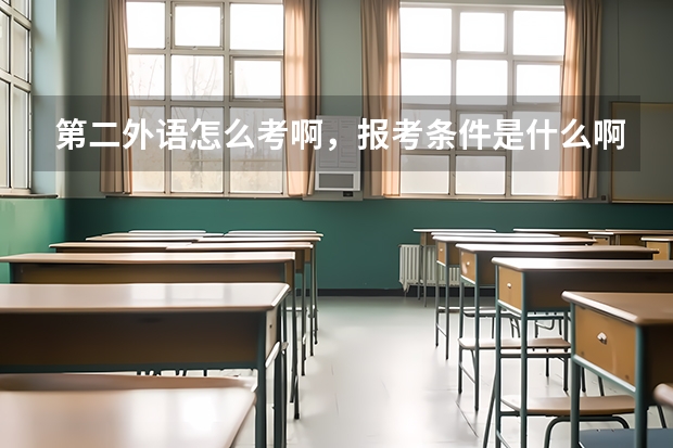 第二外语怎么考啊，报考条件是什么啊。只有外语专业才能考吗