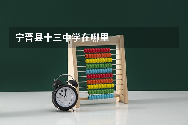 宁晋县十三中学在哪里