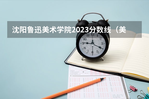 沈阳鲁迅美术学院2023分数线（美术学院本科排名及分数线表）