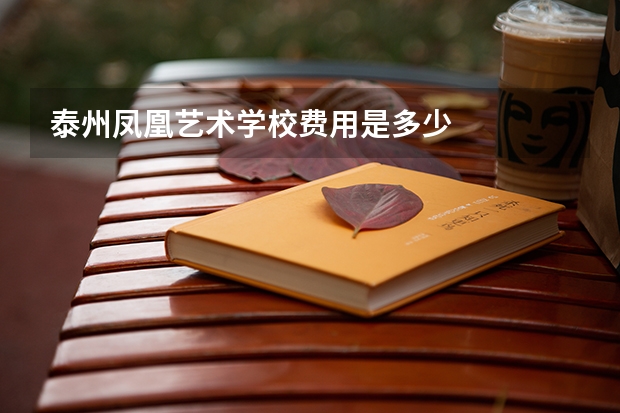 泰州凤凰艺术学校费用是多少
