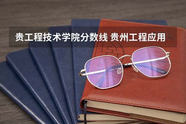 贵工程技术学院分数线 贵州工程应用技术学院专升本录取分数线