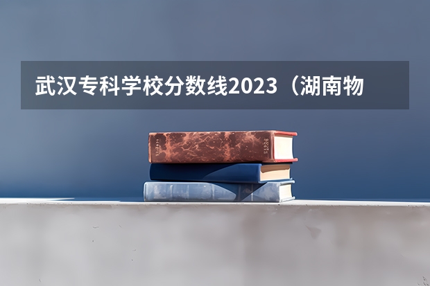 武汉专科学校分数线2023（湖南物流管理职业技术学院河南22年的分数线）