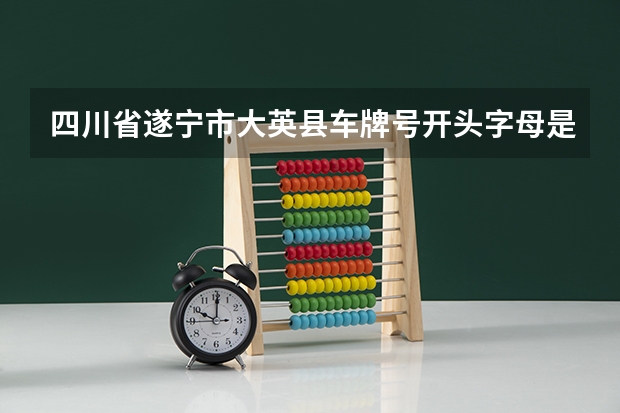 四川省遂宁市大英县车牌号开头字母是什么？