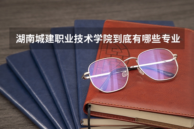 湖南城建职业技术学院到底有哪些专业