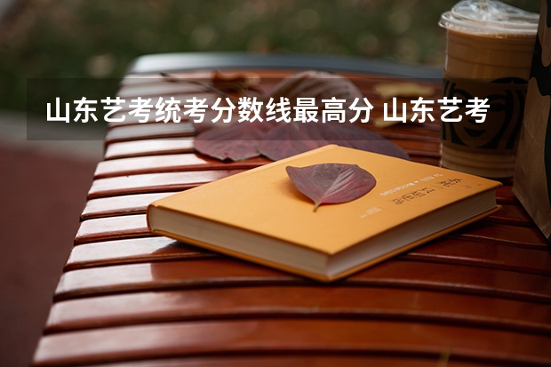 山东艺考统考分数线最高分 山东艺考分数线