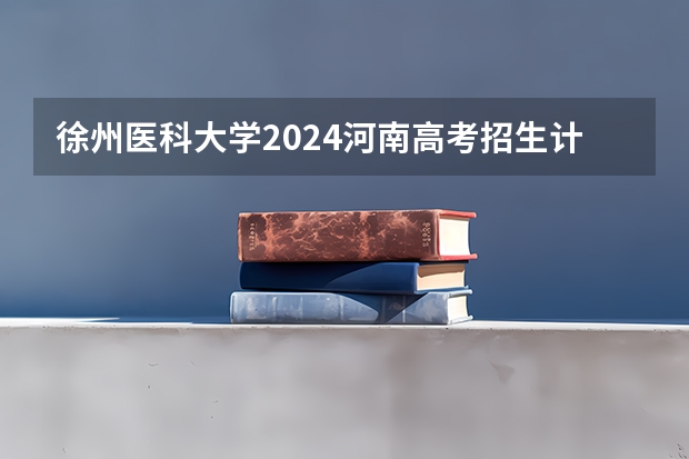 徐州医科大学2024河南高考招生计划 招多少人