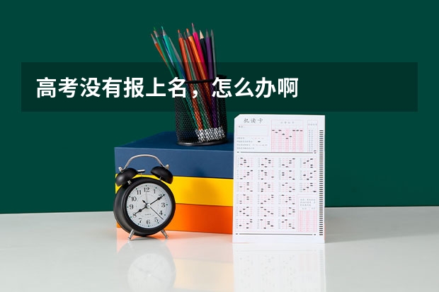 高考没有报上名，怎么办啊