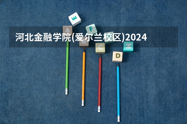 河北金融学院(爱尔兰校区)2024河北高考招生计划 招多少人