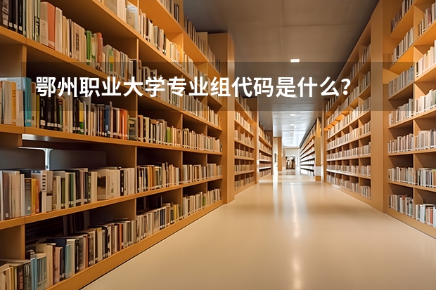鄂州职业大学专业组代码是什么？