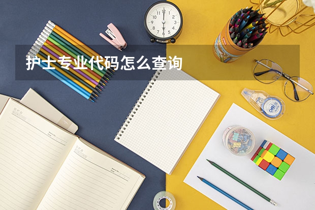 护士专业代码怎么查询