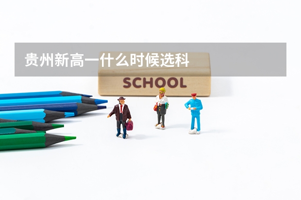 贵州新高一什么时候选科