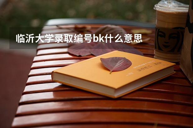 临沂大学录取编号bk什么意思