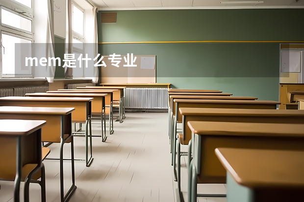 mem是什么专业