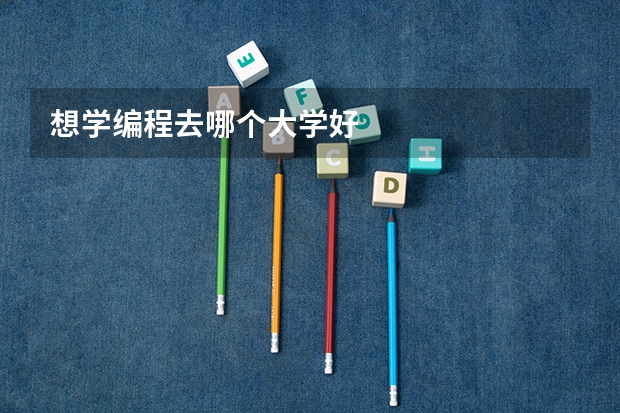 想学编程去哪个大学好