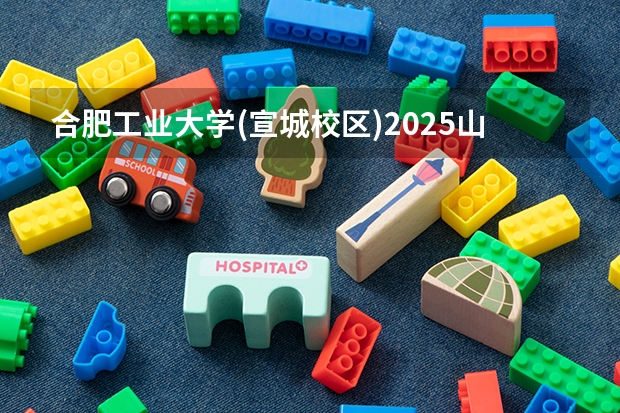合肥工业大学(宣城校区)2025山东高考招生计划 招多少人预测