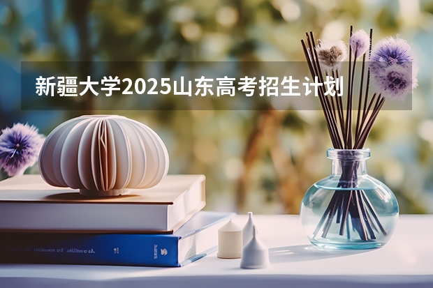 新疆大学2025山东高考招生计划 招多少人预测