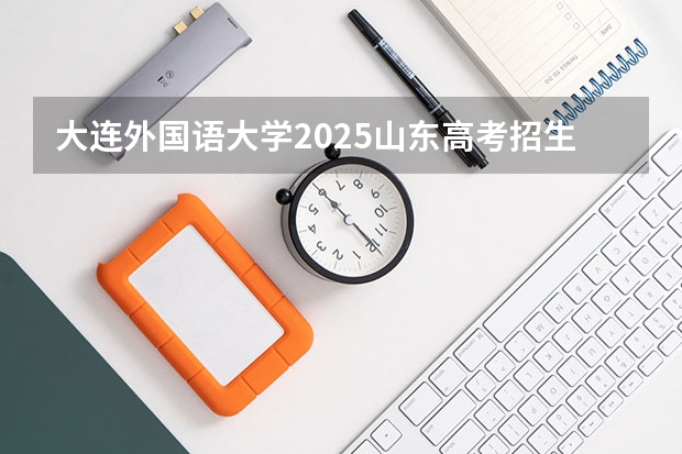 大连外国语大学2025山东高考招生计划 招多少人预测