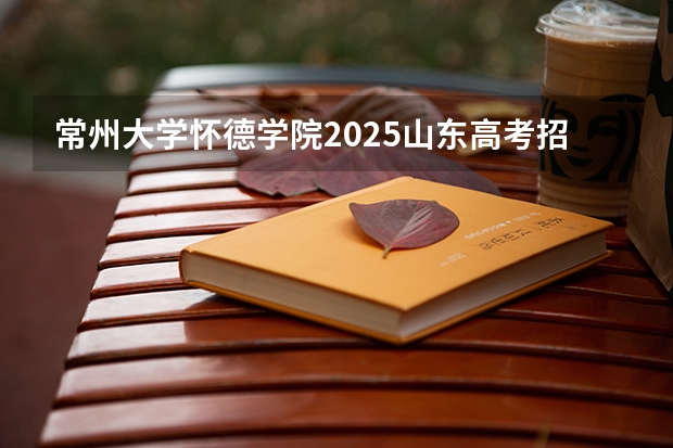 常州大学怀德学院2025山东高考招生计划 招多少人预测