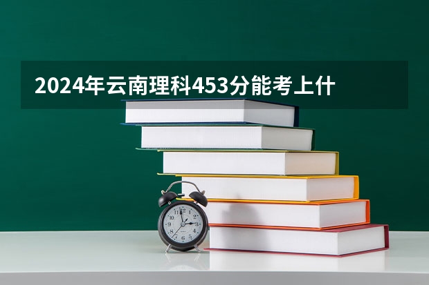 2024年云南理科453分能考上什么大学?