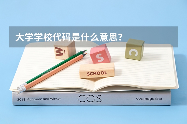 大学学校代码是什么意思？