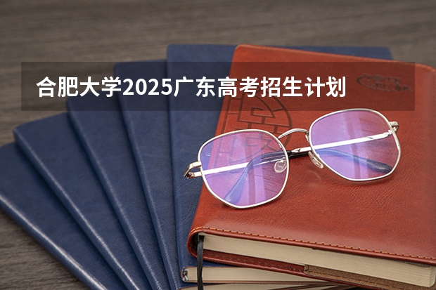 合肥大学2025广东高考招生计划 招多少人预测
